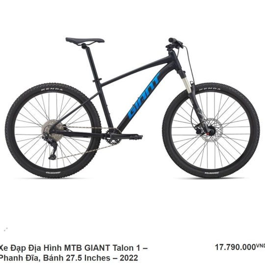 Xe Đạp Địa Hình MTB GIANT Talon 1 - 2022