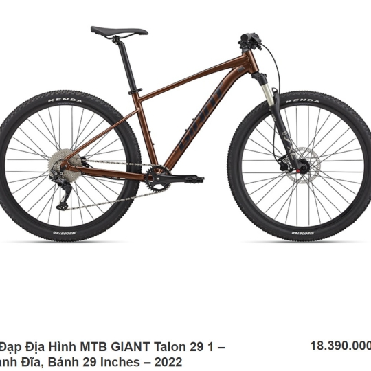 Xe Đạp Địa Hình MTB GIANT Talon 29 1 - 2022