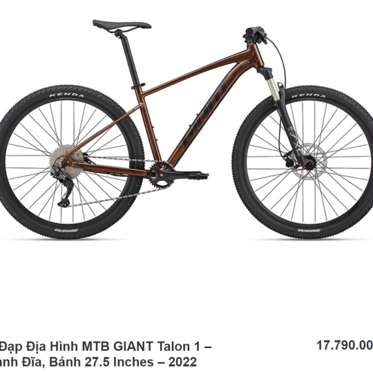 Xe Đạp Địa Hình MTB GIANT Talon 1 - 2022