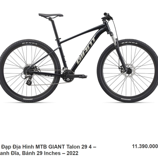 Xe Đạp Địa Hình MTB GIANT Talon 29 4 - 2022