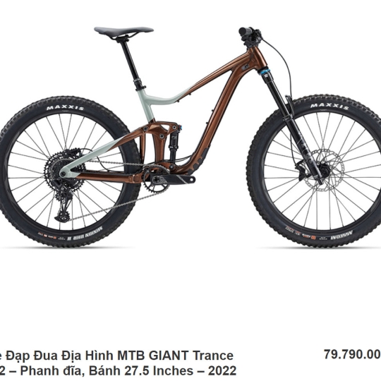 Xe Đạp Đua Địa Hình MTB GIANT Trance X - 2022