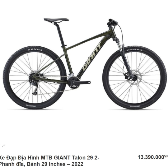 Xe Đạp Địa Hình MTB GIANT Talon 29 2 - 2022