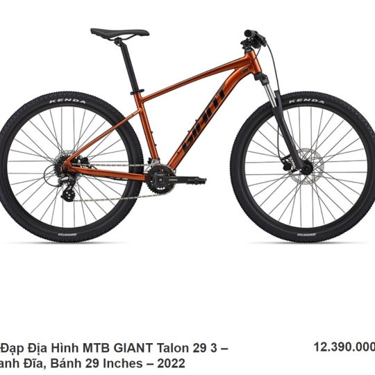 Xe Đạp Địa Hình MTB GIANT Talon 29 3 - 2022